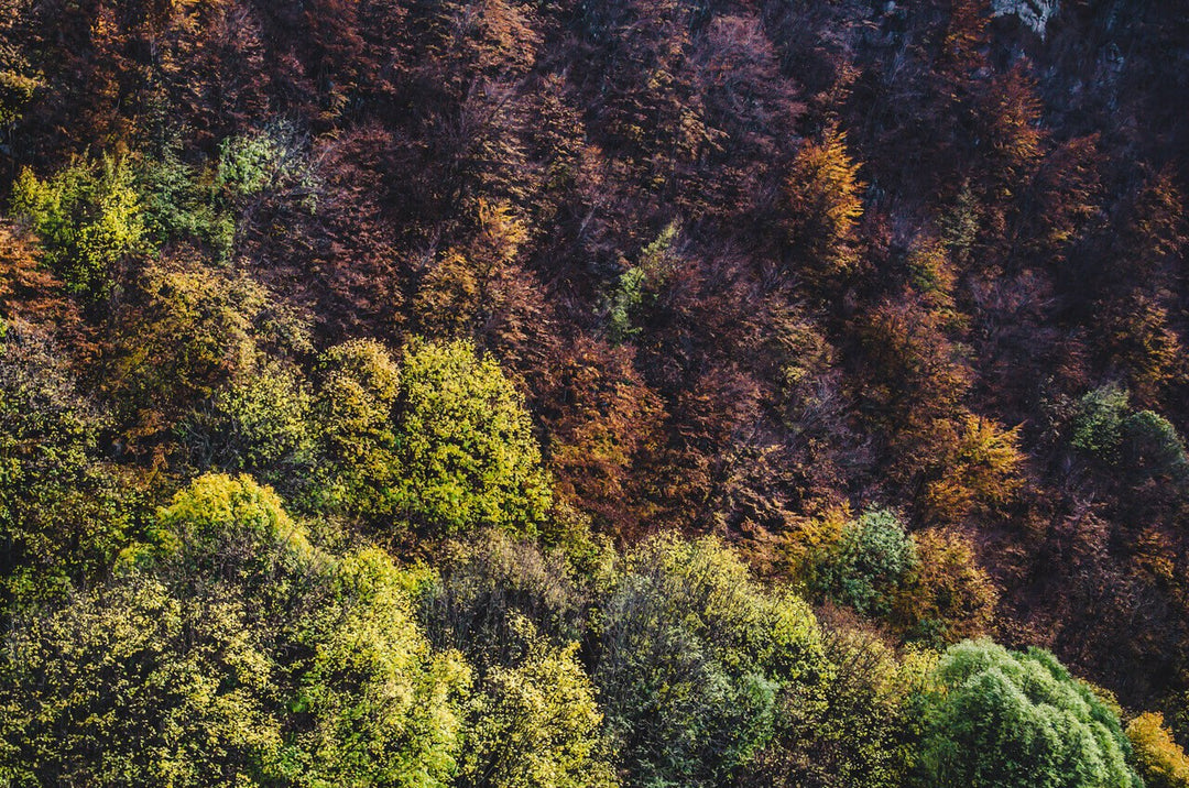 Trekking Il Lago della Duchessa tra i caldi colori del Foliage – Riserva Naturale Regionale Montagne della Duchessa, Lazio | Strike Adventure