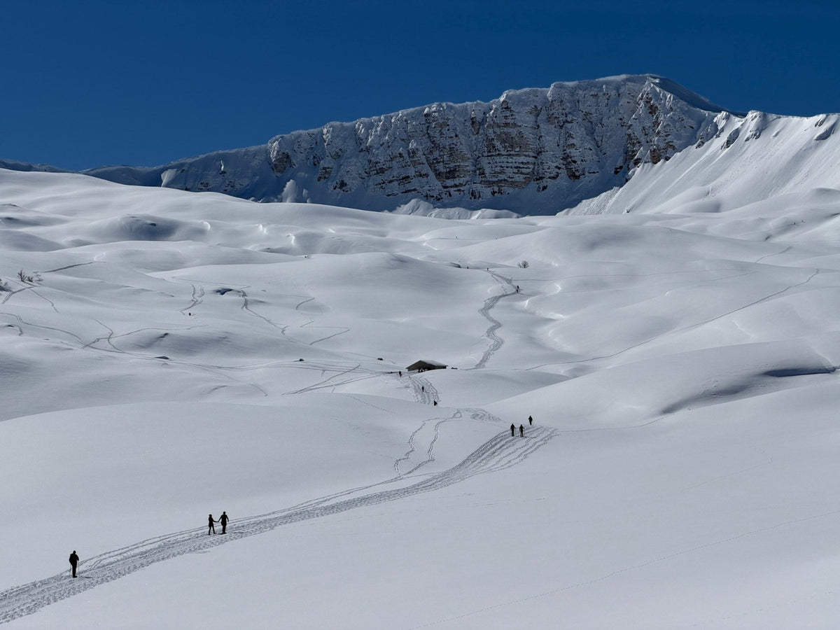 Trekking Trekking in Ciaspola con notte stellata dai 2102m del Rifugio V.Sebastiani – Parco Naturale Regionale Sirente Velino, Abruzzo | Strike Adventure