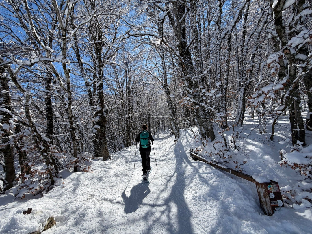 Trekking Trekking in Ciaspola con notte stellata dai 2102m del Rifugio V.Sebastiani – Parco Naturale Regionale Sirente Velino, Abruzzo | Strike Adventure
