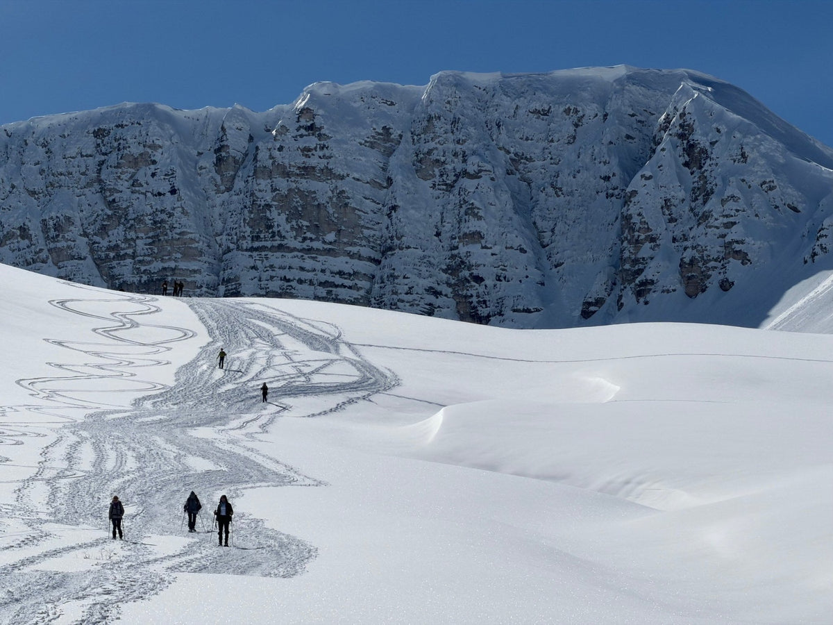 Trekking Trekking in Ciaspola con notte stellata dai 2102m del Rifugio V.Sebastiani – Parco Naturale Regionale Sirente Velino, Abruzzo | Strike Adventure