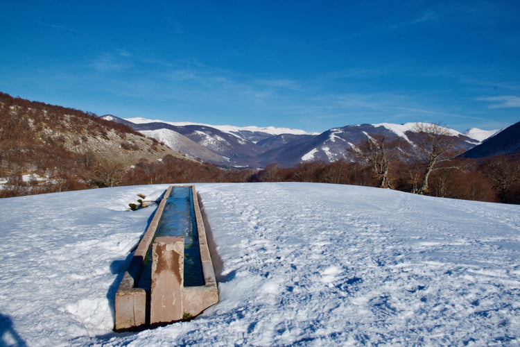 Trekking in Ciaspola + Sunset Experience e Notte stellata al Rifugio della Cicerana - Strike Adventure