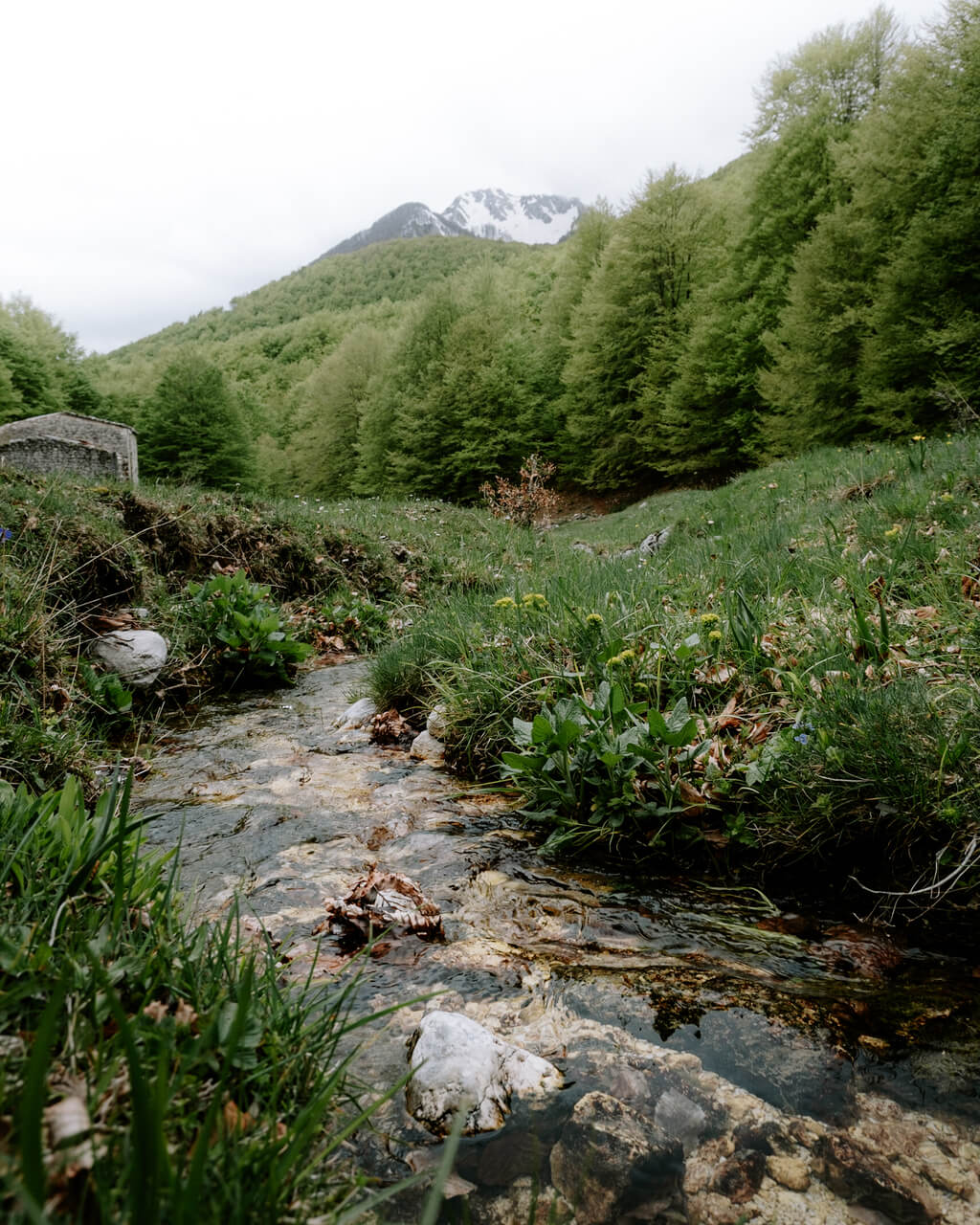Trekking Le Spettacolari Cascate della Val Canneto | Strike Adventure