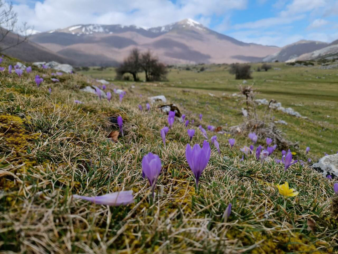 Pasquetta al Monte Torrecane con Pic Nic ai laghi di Rascino e Cornino