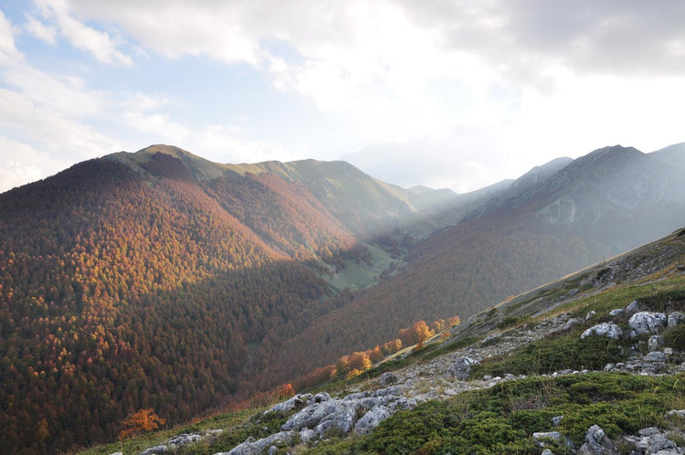 Trekking Serra di Capra Morta: carezze d’autunno tra foliage e merenda in Rifugio – Parco Nazionale d'Abruzzo, Lazio e Molise, Abruzzo | Strike Adventure