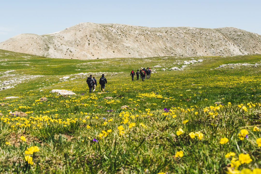 Trekking X Training: 3 X 2000M : Monti Ocre, Cagno e Cefalone – Parco Naturale Regionale Sirente Velino, Abruzzo | Strike Adventure
