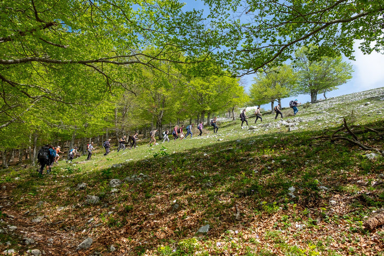 Trekking X Training allo Sprone Maraoni da Morolo | Strike Adventure