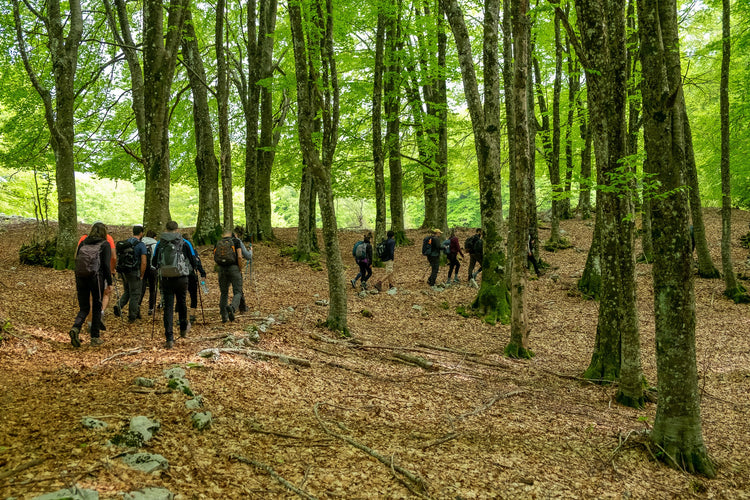 Trekking X Training allo Sprone Maraoni da Morolo | Strike Adventure