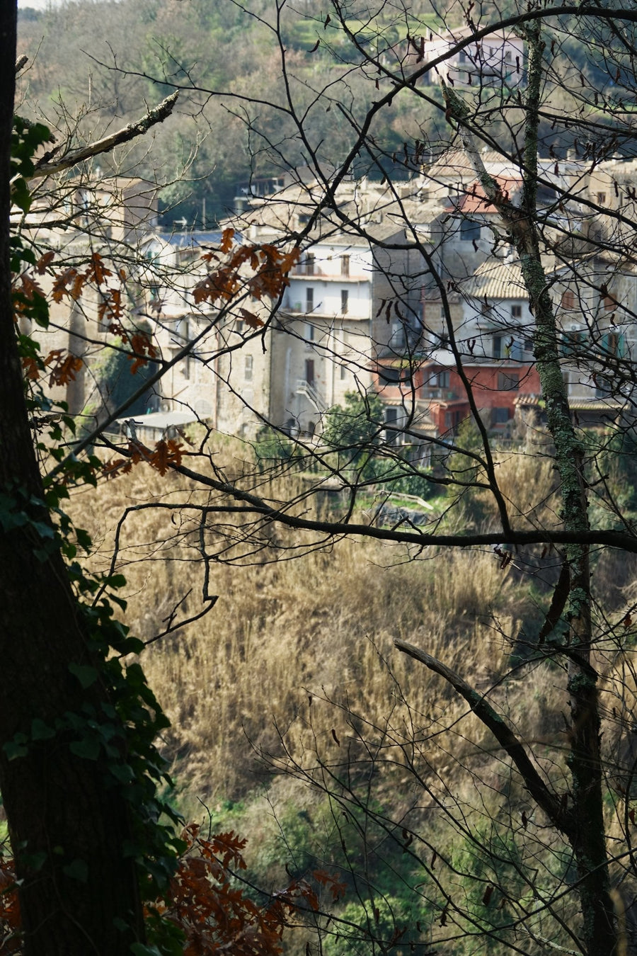 Valle del Treja e mercatini di Natale: tra borghi antichi e cascate - Strike Adventure