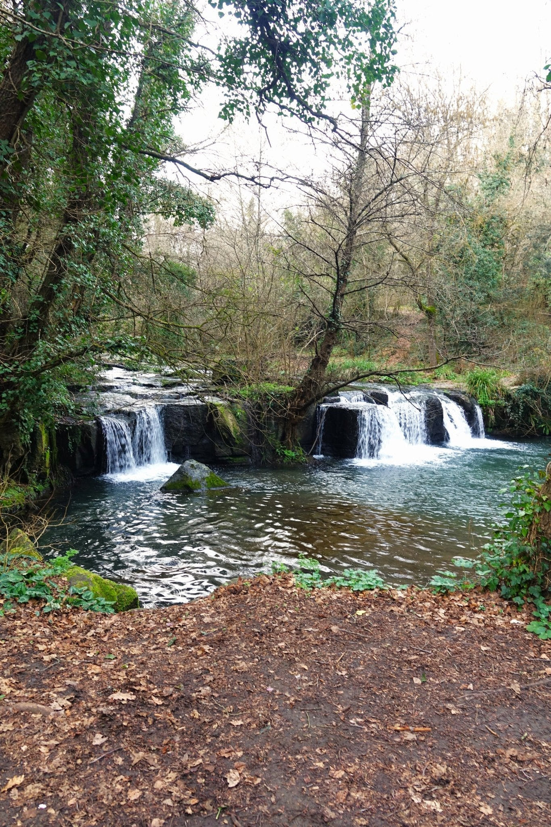 Valle del Treja e mercatini di Natale: tra borghi antichi e cascate - Strike Adventure