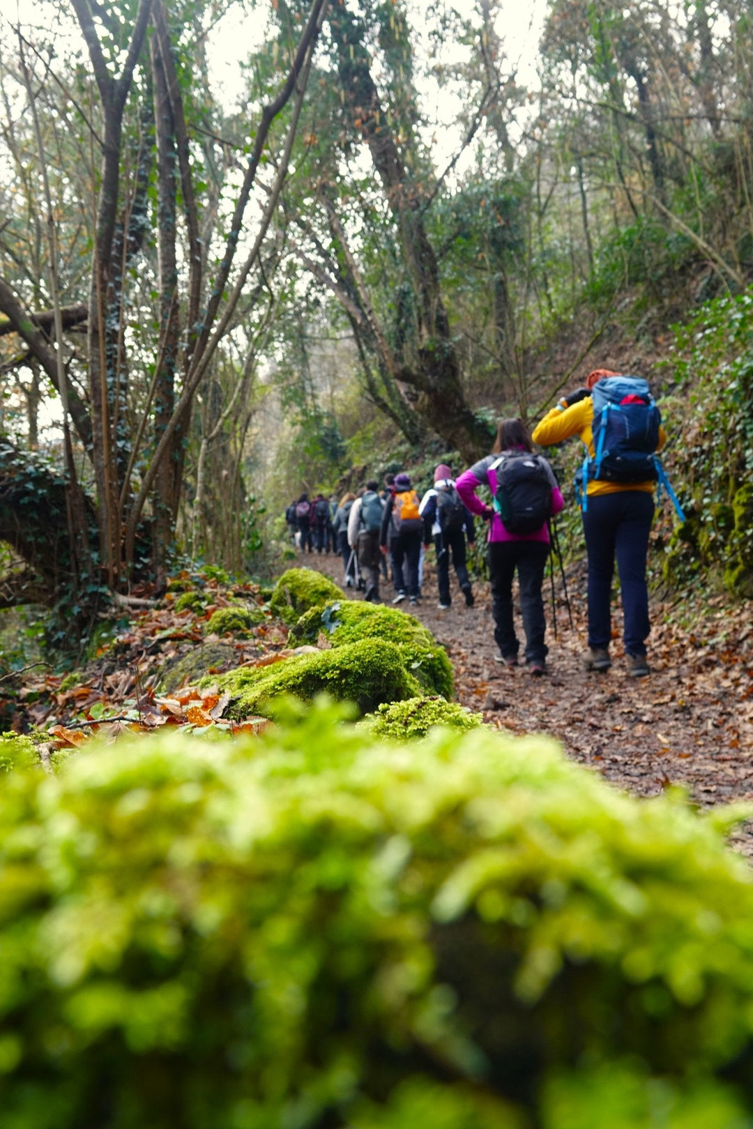 Valle del Treja e mercatini di Natale: tra borghi antichi e cascate - Strike Adventure