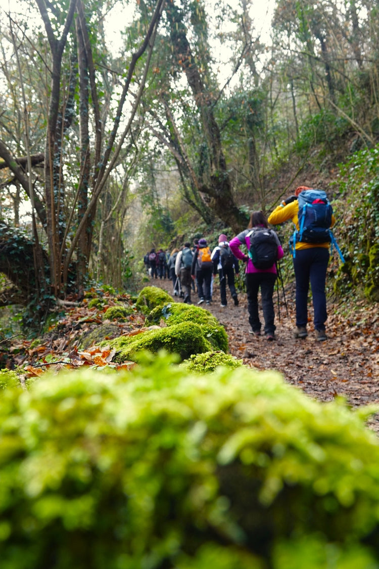 Valle del Treja e mercatini di Natale: tra borghi antichi e cascate - Strike Adventure