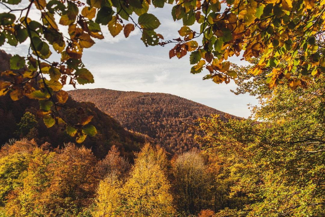 Weekend di Halloween tra i colori del foliage nell'area protetta più antica d'Italia - Strike Adventure