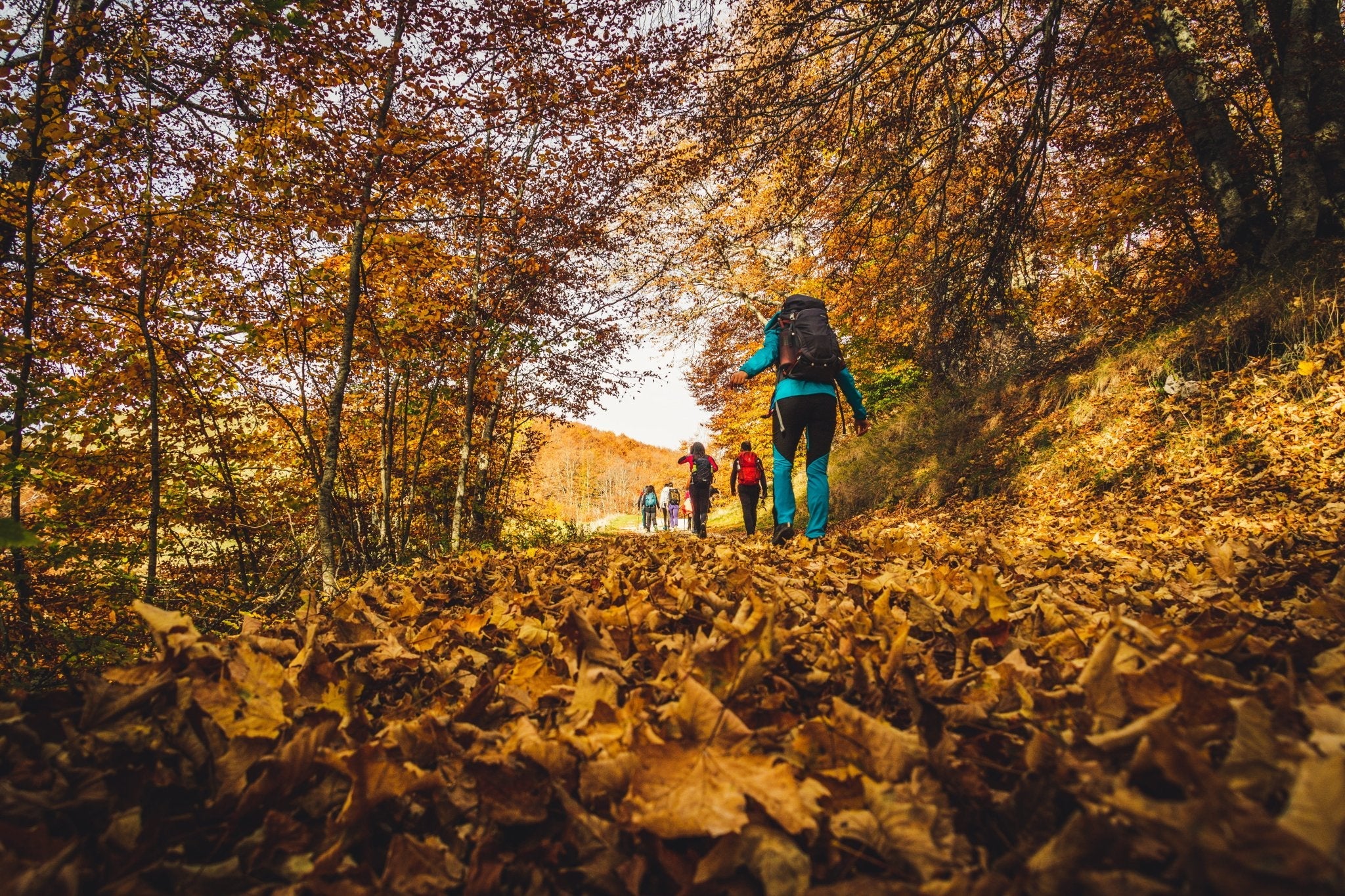 Weekend di Halloween tra i colori del foliage nell'area protetta più antica d'Italia - Strike Adventure