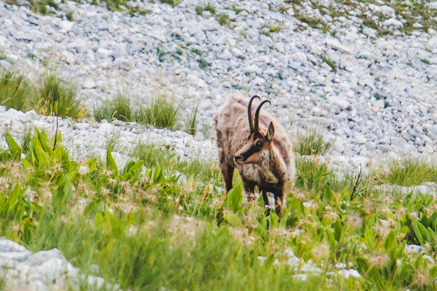 Weekend Maiella: dalle Gole dell'Orfento ai 2793 m del Monte Amaro - Strike Adventure