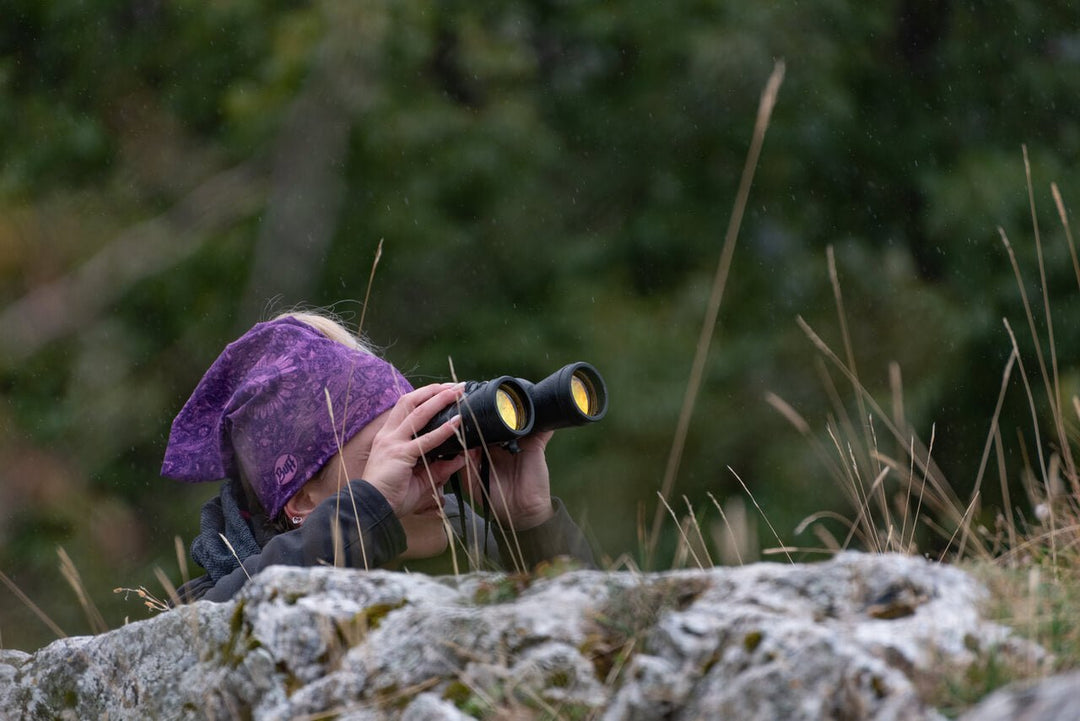Weekend PNALM: il respiro del crepuscolo e il bramito dei Cervi dal tramonto all’alba - Strike Adventure