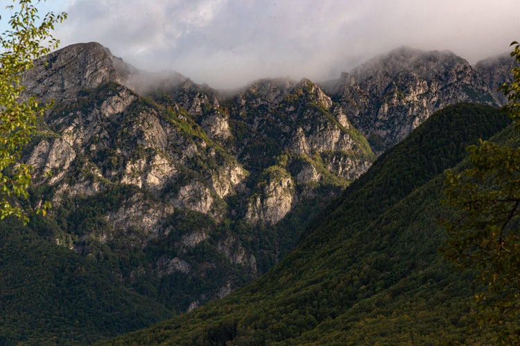 Weekend PNALM: il respiro del crepuscolo e il bramito dei Cervi dal tramonto all’alba - Strike Adventure