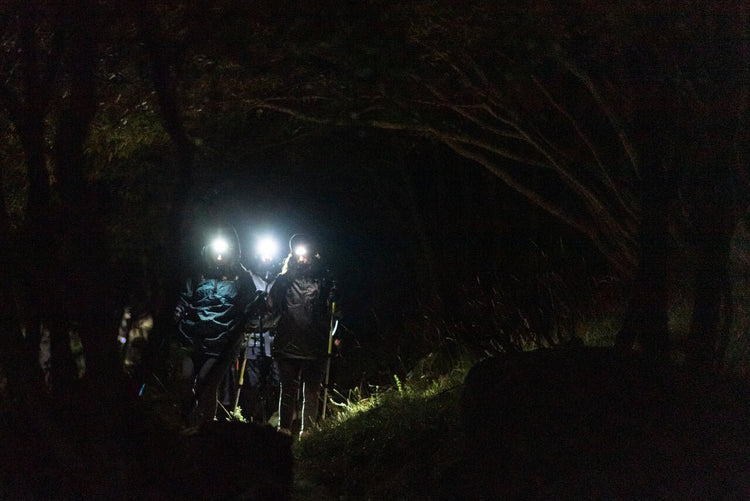 Weekend PNALM: il respiro del crepuscolo e il bramito dei Cervi dal tramonto all’alba - Strike Adventure