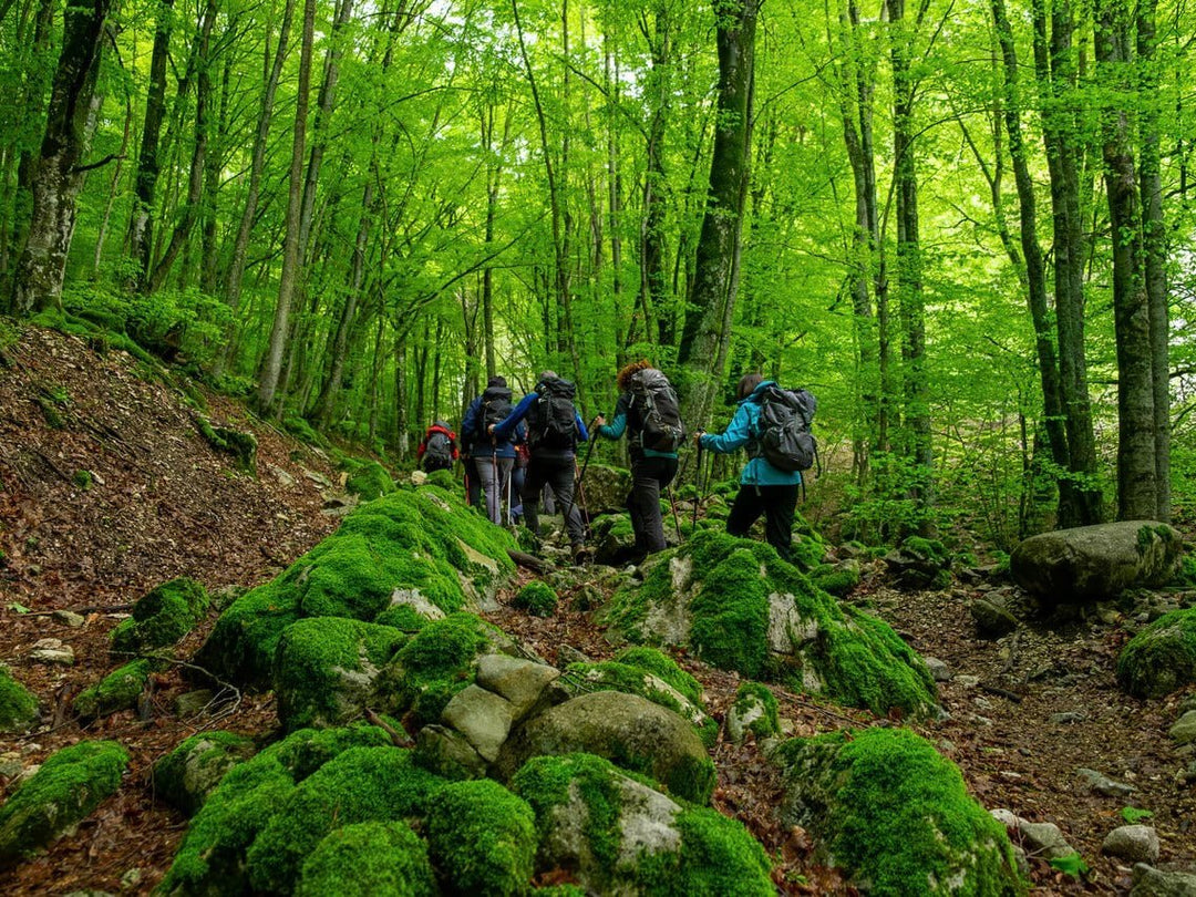 Weekend PNALM: il respiro del crepuscolo e il bramito dei Cervi dal tramonto all’alba - Strike Adventure