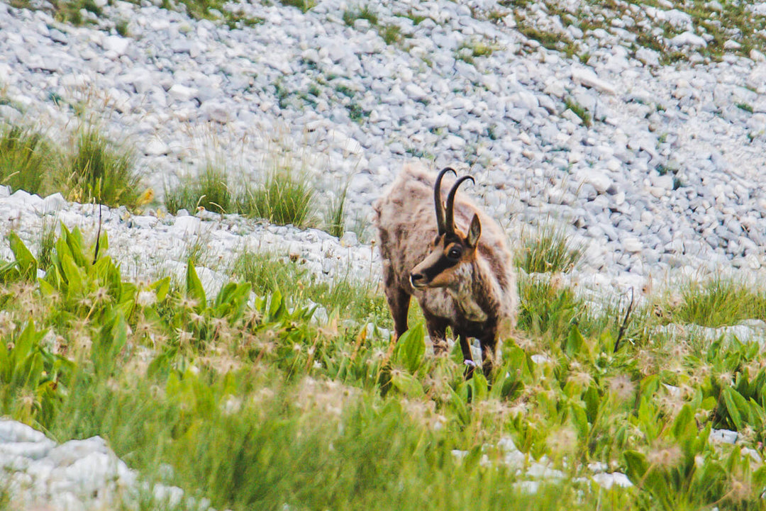 Weekend sul Gran Sasso: roccaforti, canyon e albe in quota