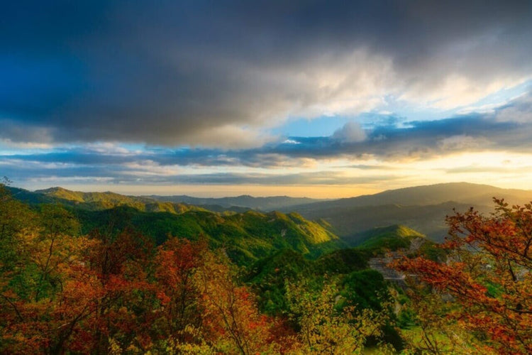 Weekend Toscana: la magia del fall foliage nel Parco delle Foreste Casentinesi - Strike Adventure