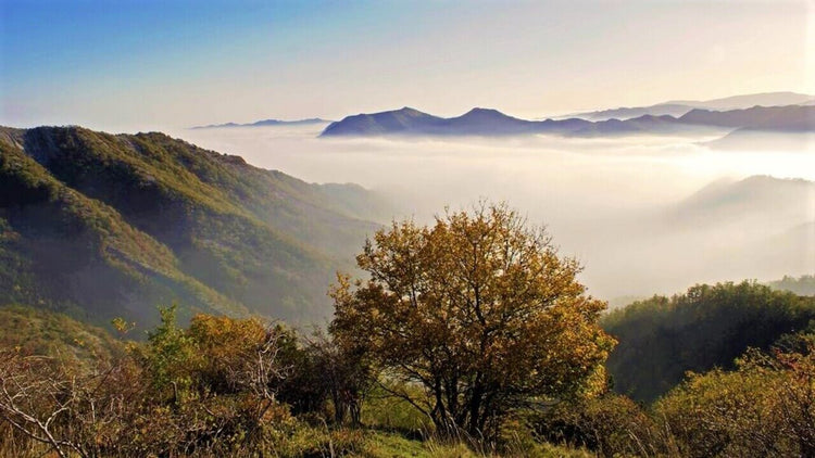 Weekend Toscana: la magia del fall foliage nel Parco delle Foreste Casentinesi - Strike Adventure
