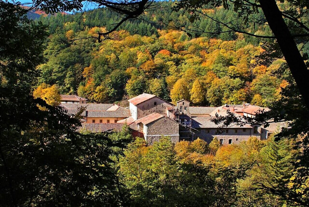 Weekend Toscana: la magia del fall foliage nel Parco delle Foreste Casentinesi - Strike Adventure