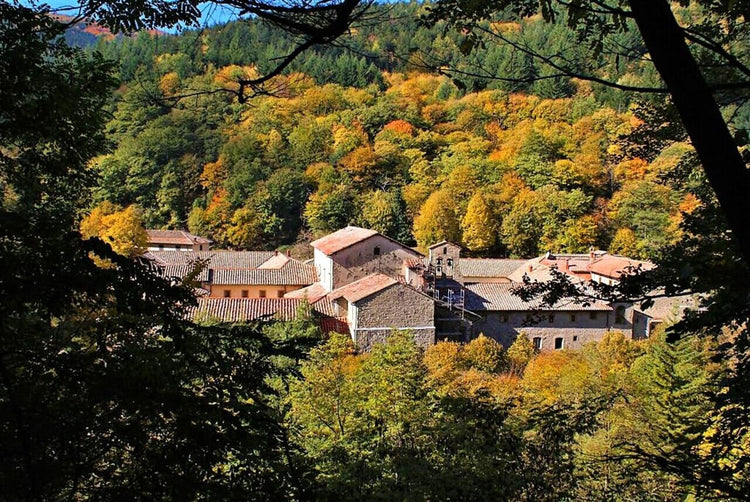 Weekend Toscana: la magia del fall foliage nel Parco delle Foreste Casentinesi - Strike Adventure