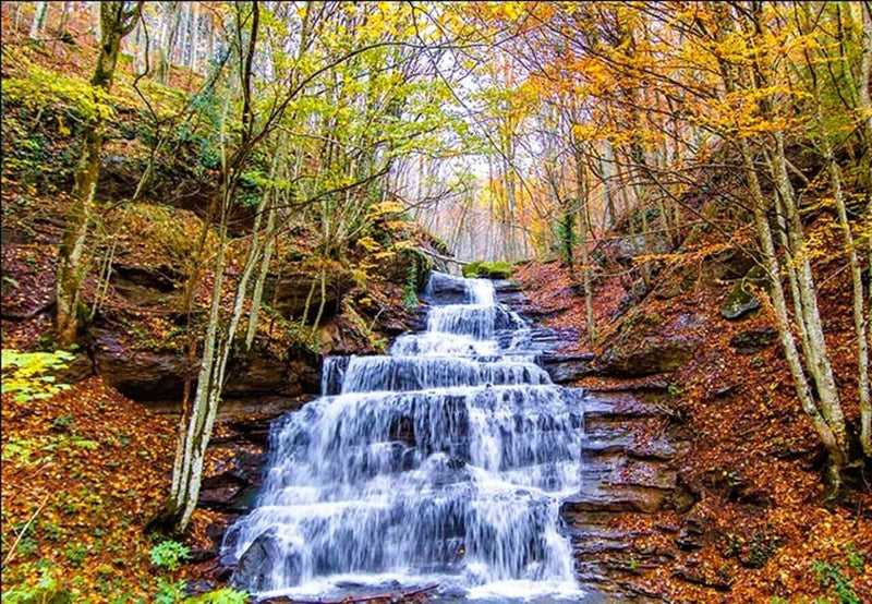Weekend Toscana: la magia del fall foliage nel Parco delle Foreste Casentinesi - Strike Adventure