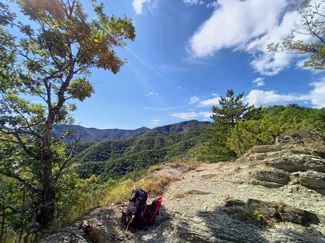 Weekend Toscana: la magia del fall foliage nel Parco delle Foreste Casentinesi - Strike Adventure