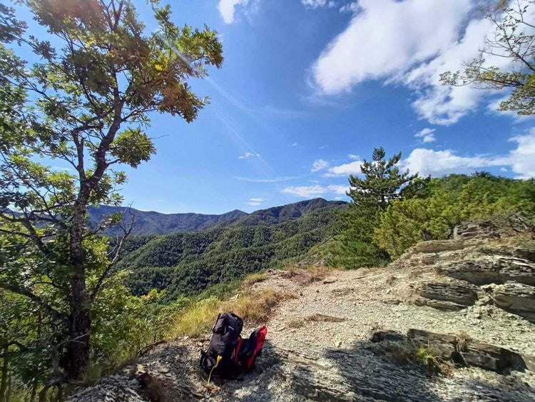 Weekend Toscana: la magia del fall foliage nel Parco delle Foreste Casentinesi - Strike Adventure
