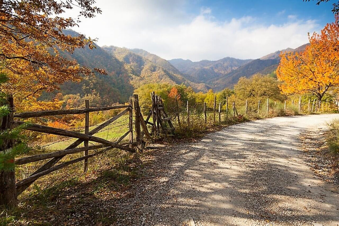 Weekend Toscana: la magia del fall foliage nel Parco delle Foreste Casentinesi - Strike Adventure