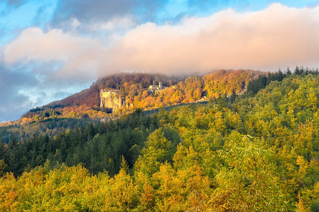 Weekend Toscana: la magia del fall foliage nel Parco delle Foreste Casentinesi - Strike Adventure