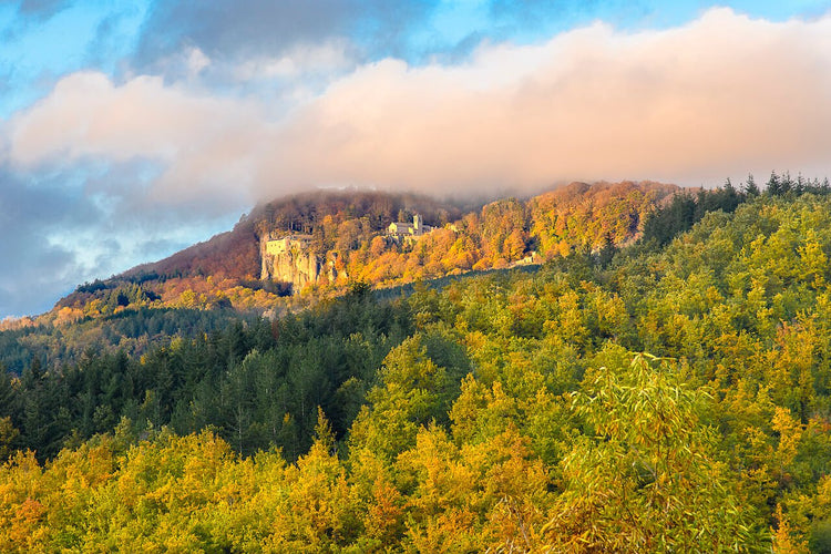 Weekend Toscana: la magia del fall foliage nel Parco delle Foreste Casentinesi - Strike Adventure