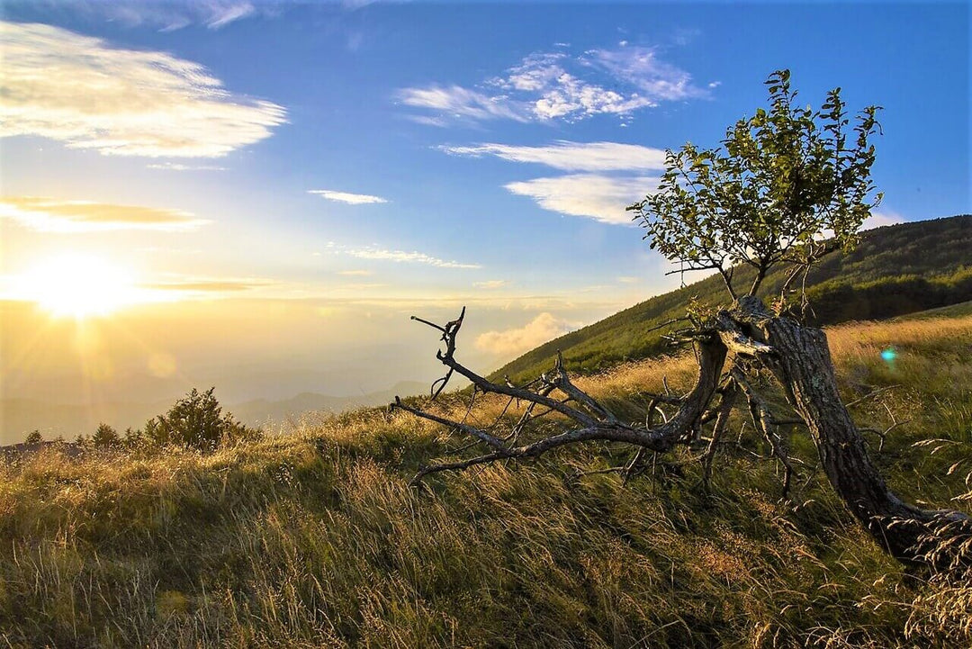 Weekend Toscana: la magia del fall foliage nel Parco delle Foreste Casentinesi - Strike Adventure