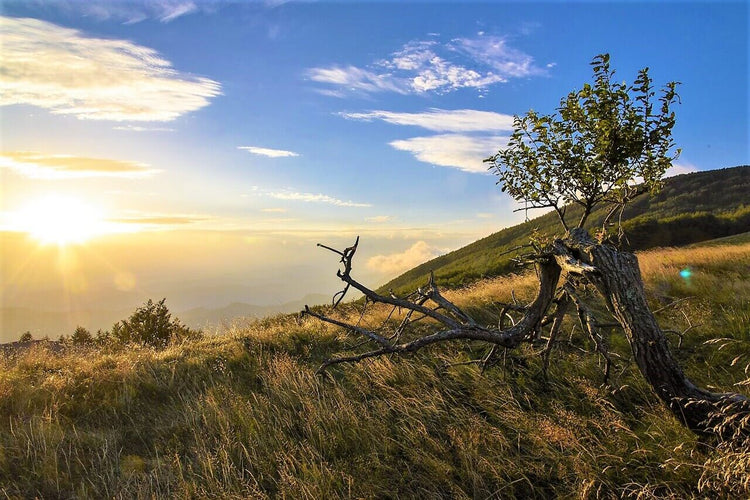 Weekend Toscana: la magia del fall foliage nel Parco delle Foreste Casentinesi - Strike Adventure