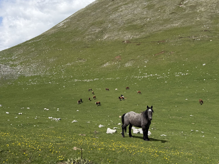 X Training al grande anello dei Monti Cava, San Rocco e Rotondo - Strike Adventure