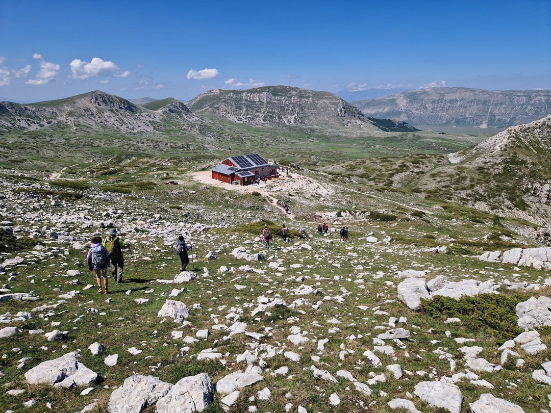 X Training al Grande Anello di Vena Stellante (7 X 2000M) - Strike Adventure