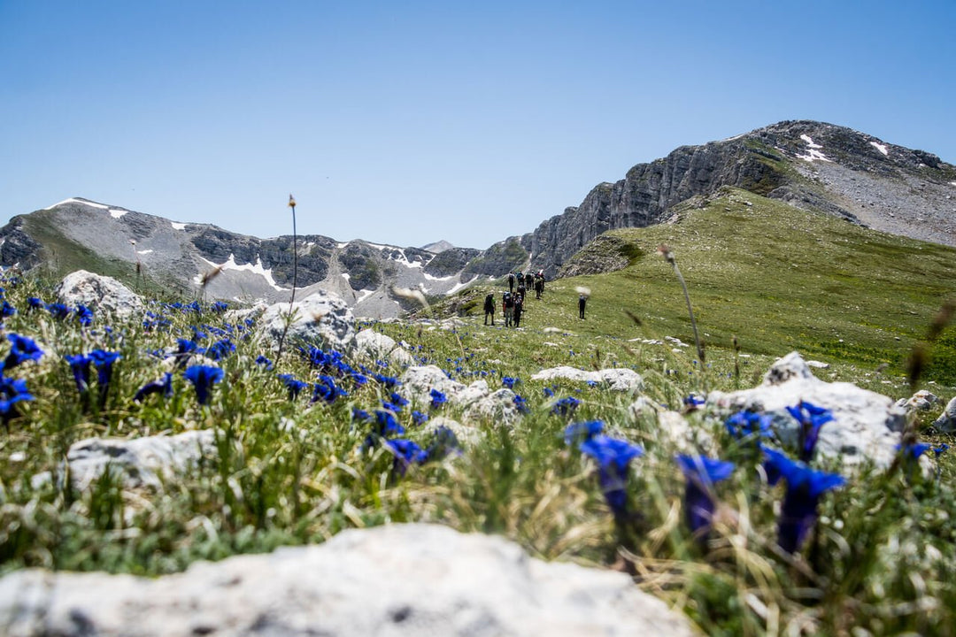 X Training al Grande Anello di Vena Stellante (7 X 2000M) - Strike Adventure