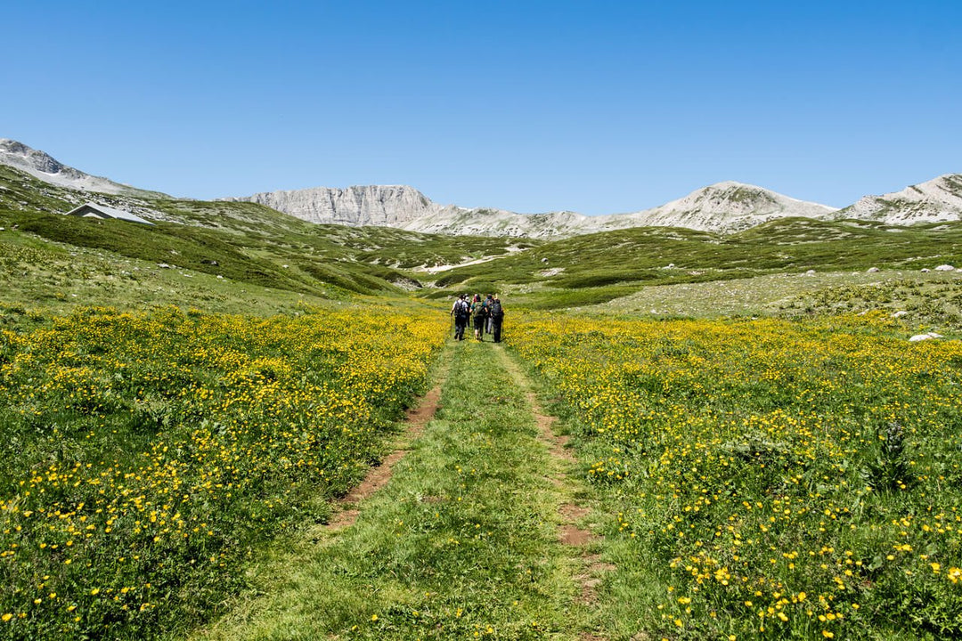 X Training al Grande Anello di Vena Stellante (7 X 2000M) - Strike Adventure