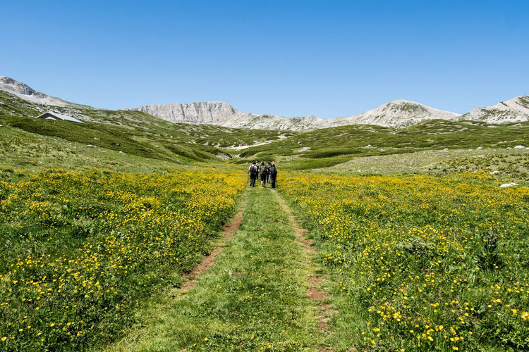 X Training al Grande Anello di Vena Stellante (7 X 2000M) - Strike Adventure