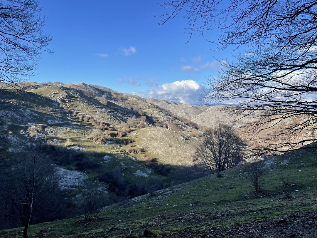 X Training al Monte Cairo, panorami e storia della montagna solitaria - Strike Adventure