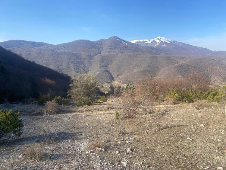 Trekking X Training al Monte Calvo e i suoi panorami a 360° sull'Alta Valle del Velino – Gruppo dei Monti Reatini, Lazio | Strike Adventure