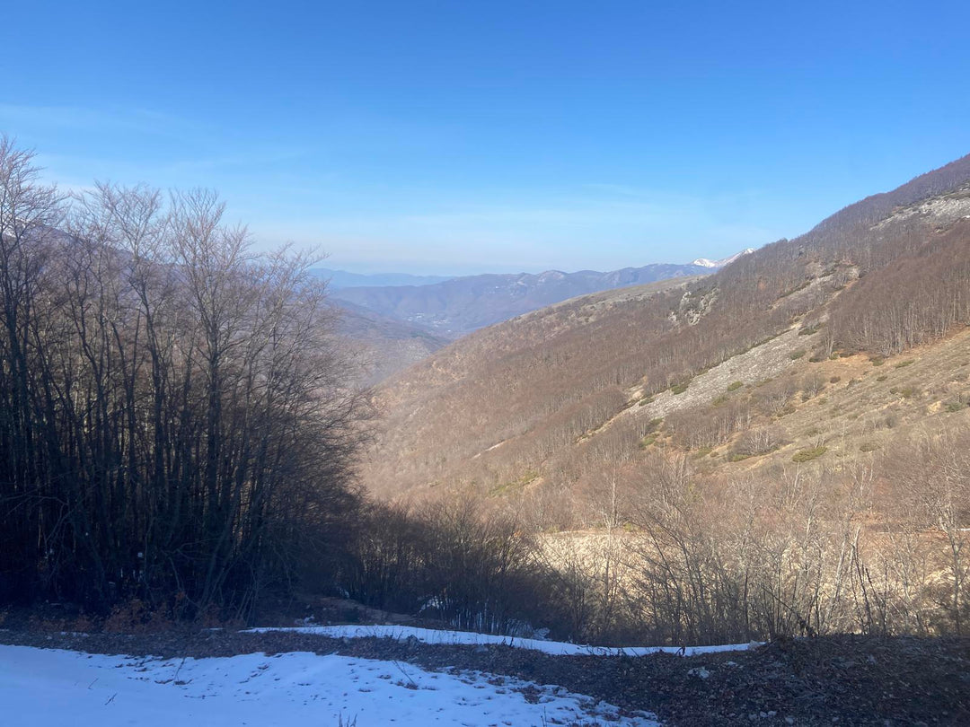 Trekking X Training al Monte Calvo e i suoi panorami a 360° sull'Alta Valle del Velino – Gruppo dei Monti Reatini, Lazio | Strike Adventure