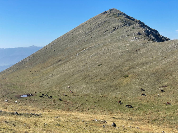 X-Training al Monte Magnola e alla Valle Majelama - Strike Adventure