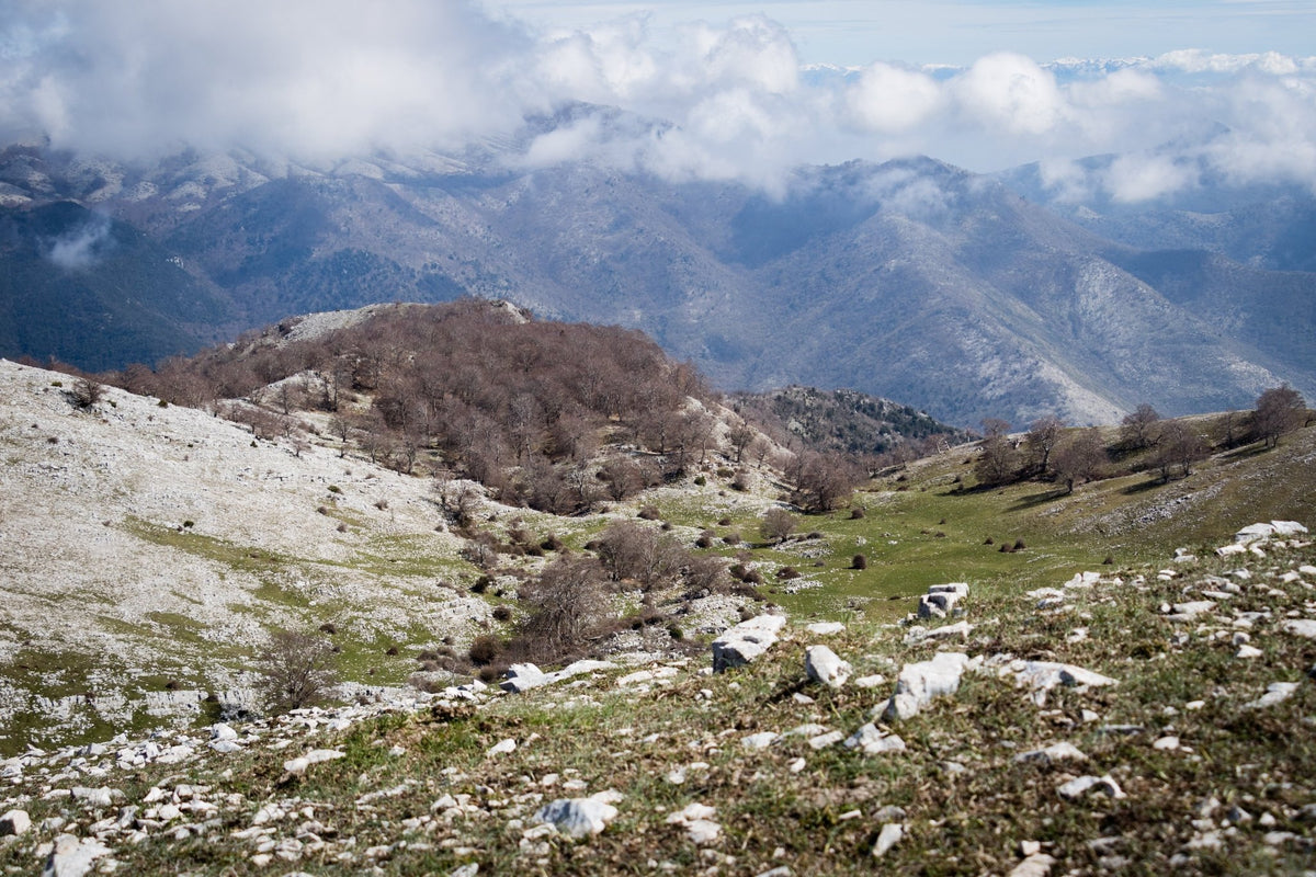 X Training al Monte Semprevisa per il Sentiero Nardi - Discover Experience