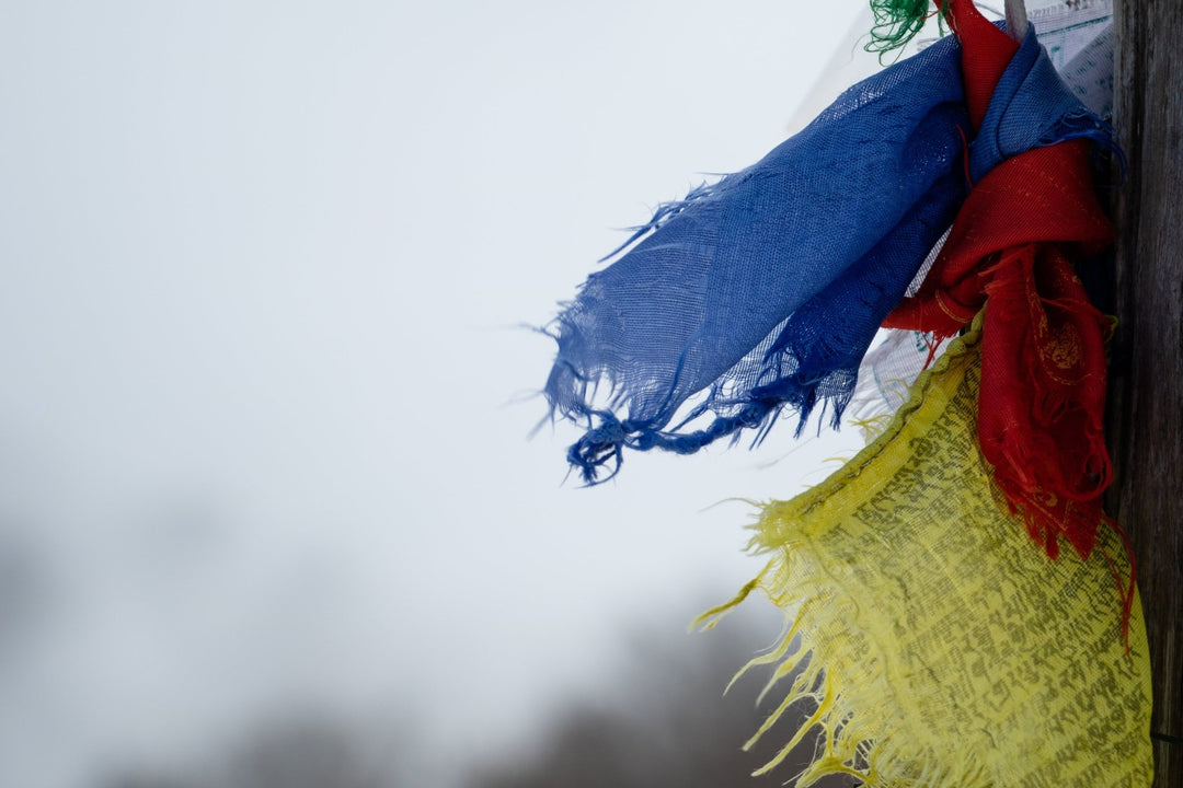 X Training al Monte Semprevisa per il Sentiero Nardi - Discover Experience