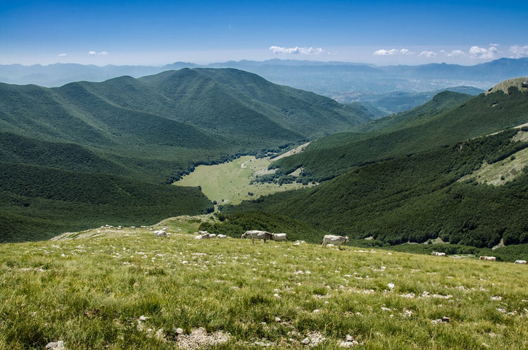 X Training al Pizzo Deta, la montagna ad un passo dal cielo - Strike Adventure