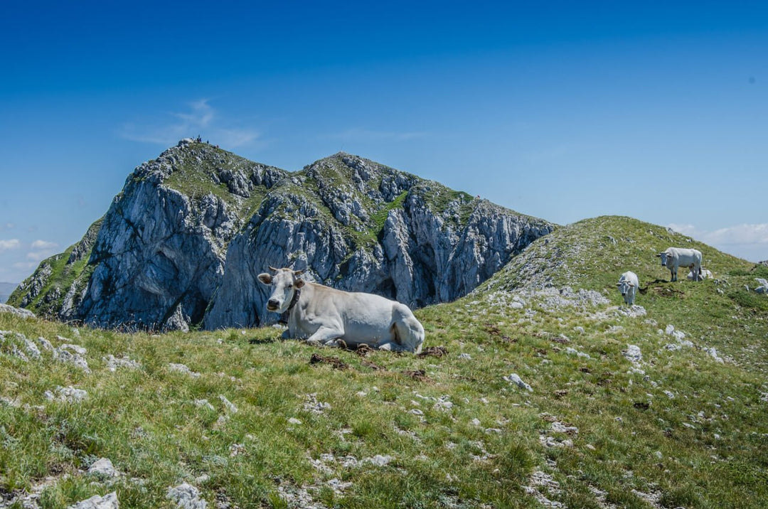 X Training al Pizzo Deta, la montagna ad un passo dal cielo - Strike Adventure
