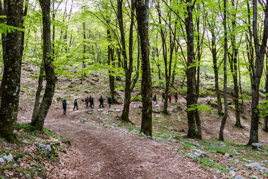 X Training panoramico per Aurunci 4 Summits - Strike Adventure