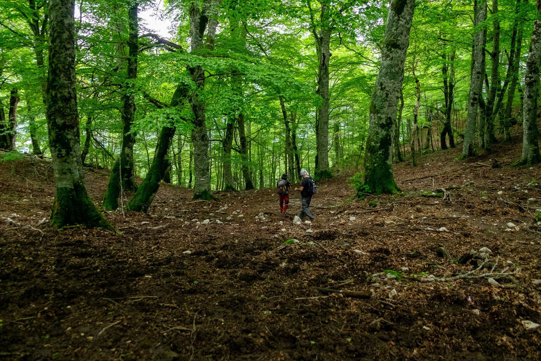 X Training panoramico sul Monte Navegna - Strike Adventure